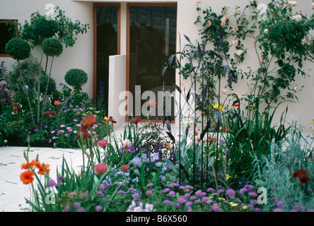 Weisse rose und blau mit roten Mohnblumen vor modernen weißen Haus mit kleinen Witwenblume cloud beschnittene Bäume im Rahmen Stockfoto