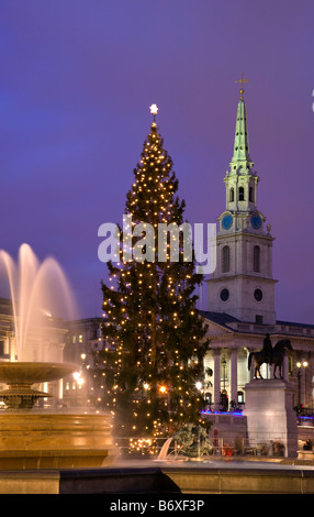 Weihnachtsbaum und St Martins im Bereich Kirche, Trafalgar Square, London, england Stockfoto