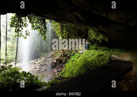 Crystal Falls Wonga Spaziergang Dorrigo National Park New South Wales Australien Stockfoto
