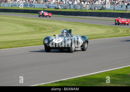Beim Goodwood Revival meeting September 2008 Jaguar D-Type 3400cc 1954 Lukas Huni Stockfoto