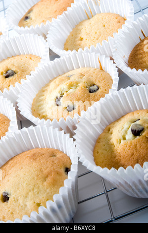 Gekocht Cupcakes platziert auf Kuchengitter abkühlen lassen. Das Rezept ist für Schokoladenkekse Kuchen mit Schokoladenglasur Stockfoto