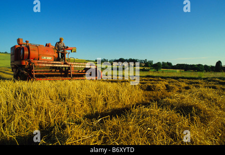 Alten Massey Ferguson 410 Mähdrescher, Salisbury Plain, Wiltshire, UK. Stockfoto