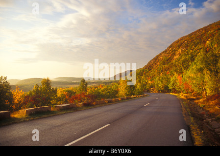 Park Loop Road bei Sonnenaufgang, Acadia National Park, Maine, USA Stockfoto