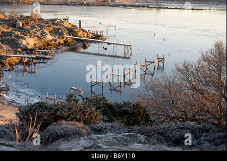 Küste, Halbinsel Onsala, Schweden Stockfoto