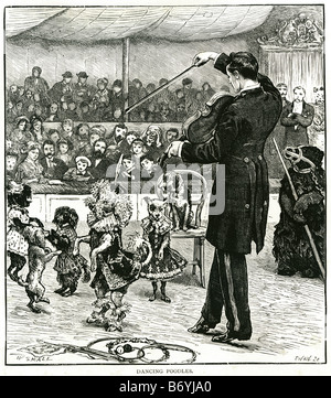 Pudel Leistung zeigen Hunde Haustier Tier Menge Ring Führer Performer Zirkuszelt tanzen Stockfoto