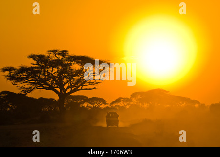 Safari-Jeep fahren durch Savanne in den Sonnenuntergang Stockfoto