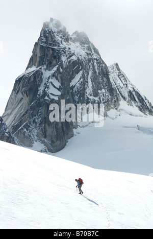 Mann, Bergsteigen in den Bugaboo Provincial Park, Britisch-Kolumbien, Kanada. Stockfoto