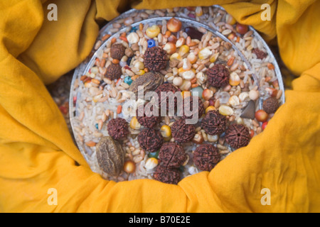 Erhöhte Ansicht von rudraksha Stockfoto