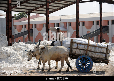 Mahima Entkörnung Fabrik für Fairtrade und Bio-Baumwolle, Landwirt, Indore, Madhya Pradesh, Indien liefern Rohbaumwolle Stockfoto