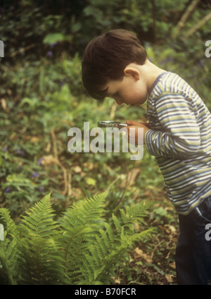 Junge Blick auf Farn Pflanze mit Lupe in einem Holz Stockfoto