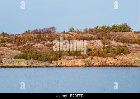 Küste auf Halbinsel Onsala, Schweden Stockfoto