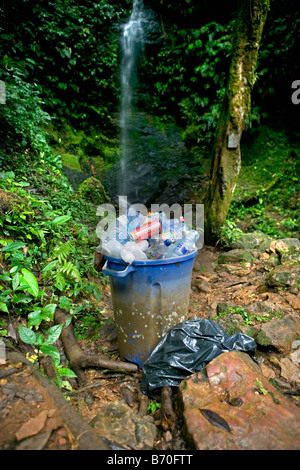 Suriname, Brownsweg, Brownsberg Nationalpark. Mülleimer im Leo fällt. Stockfoto