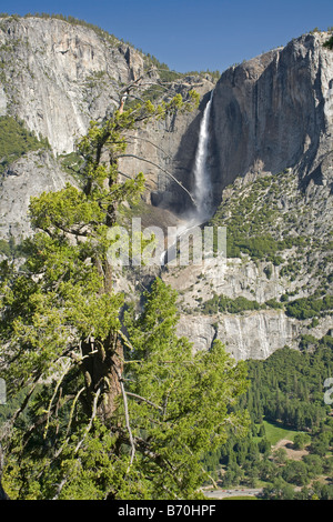 Kalifornien - Upper Yosemite Falls vom Four Mile Trail im Yosemite National Park. Stockfoto