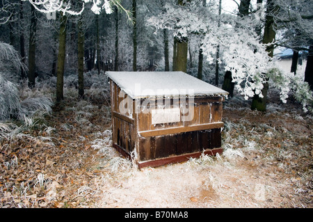 Holzschuppen im Wald bei der Findhorn Stiftung Gemeinschaft Stockfoto