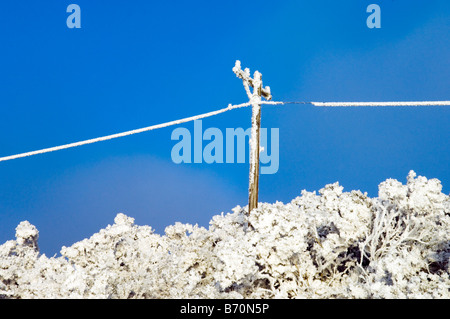 Stromkabel und Stromkabel gegen blauen Himmel eingefroren Stockfoto