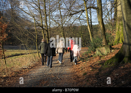Kalten Wintermorgen gehen Stockfoto