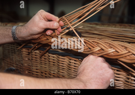 Sarg aus Weide, auf der Somerset Ebene angebaut werden von hand gefertigt Stockfoto