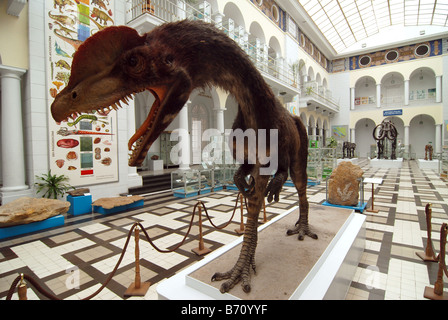 Modell der Dilophosaurus Wetherilli Dinosaurier aus der frühen Jurazeit Stockfoto