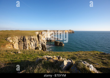 St Govans Kopf Pembrokeshire West Wales UK Stockfoto