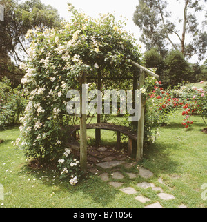 Weiße Kletterrosen auf gebogene hölzerne Laube mit fester Bank auf Rasen im Sommergarten Stockfoto