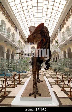 Modell der Dilophosaurus Wetherilli Dinosaurier aus der frühen Jurazeit Stockfoto