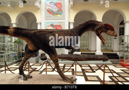 Modell der Dilophosaurus Wetherilli Dinosaurier aus der frühen Jurazeit Stockfoto