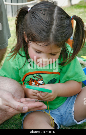 Kronkosky s kleine Tot Natur vor Ort San Antonio Zoo TX Stockfoto