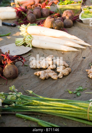 Pastinaken, Ingwerwurzel, Rüben und andere Gemüse auf einem Bauernmarkt in Saint-Paul auf der Insel La Réunion im Indischen Ozean. Stockfoto