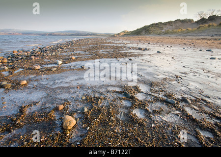 Eis und Frost auf den Strand und die Dünen bei Sandscale Haws in der Nähe von Barrow in Furness Cumbria UK Stockfoto