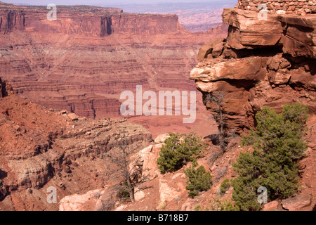 Blick vom Toten Pferd Punkt Dead Horse Point State Park Utah Stockfoto