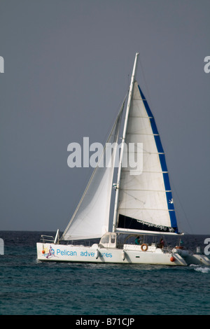 Pelikan Abenteuer Katamaran Segelboot vor der Küste von Aruba Stockfoto