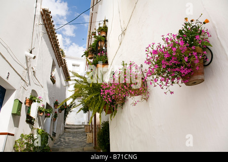 Typische Straße des weißen Dorfes Canillas de Albaida Axarquía Malaga Andalusien Spanien Stockfoto