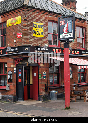 AUßENSEITE DES FAT-CAT GASTWIRTSCHAFT WEST END STREET NORWICH NORFOLK EAST ANGLIA UK ENGLAND Stockfoto