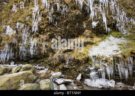 Eiszapfen am Tilberthwaite im Lake District während einer Kältewelle Cumbria UK Stockfoto