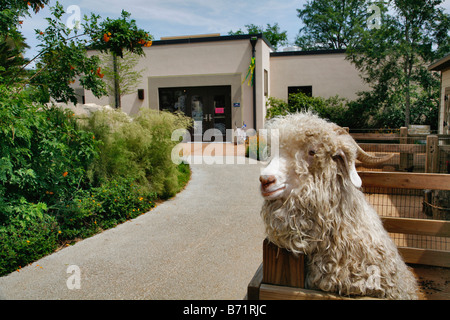 Kronkosky s kleine Tot Natur vor Ort San Antonio Zoo TX Stockfoto