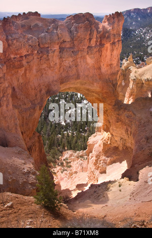 Die Natural Bridge in Bryce-Canyon-Nationalpark in Utah Stockfoto