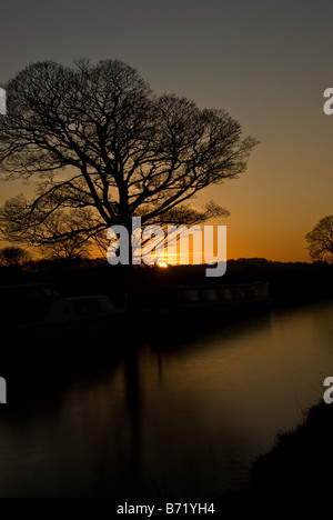 Großer Baum Silhouette gegen einen Winter Sonnenuntergang auf einem Kanalufer. Stockfoto