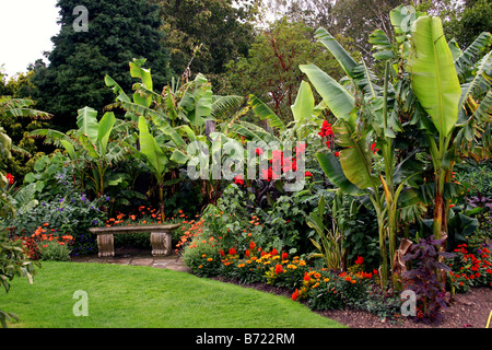 EINE TROPISCHE GRENZE IN EINEN ENGLISCHEN LANDSCHAFTSGARTEN. RHS HYDE HALL ESSEX UK Stockfoto