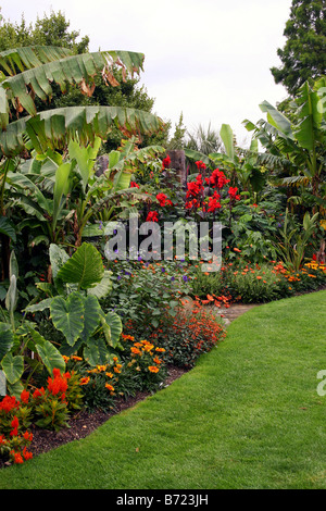 EINE TROPISCHE GRENZE IN EINEN ENGLISCHEN LANDSCHAFTSGARTEN. RHS HYDE HALL ESSEX UK Stockfoto