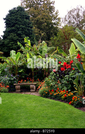 EINE TROPISCHE GRENZE IN EINEN ENGLISCHEN LANDSCHAFTSGARTEN. RHS HYDE HALL ESSEX UK Stockfoto