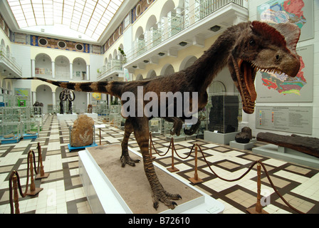 Modell der Dilophosaurus Wetherilli Dinosaurier aus der frühen Jurazeit Stockfoto