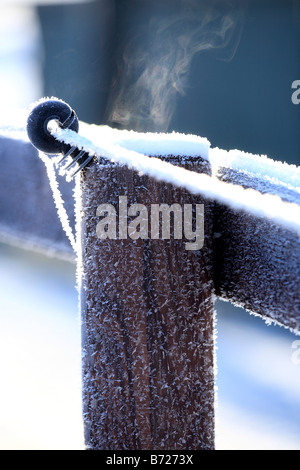 Nahaufnahme von vereisten und verschneiten Elektrozaun Draht und Isolator, Deutschland, Europa Stockfoto