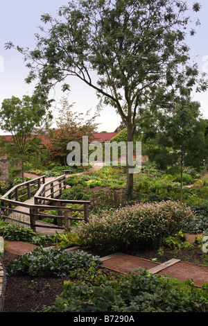 DIE ROBINSON-GARTEN IN DER RHS HYDE HALL IN ESSEX. VEREINIGTES KÖNIGREICH. Stockfoto