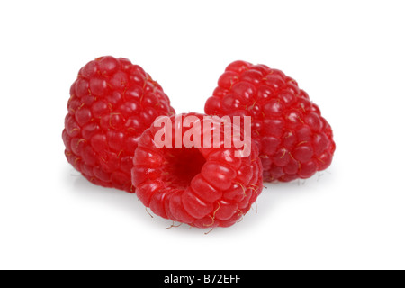 Drei rote Himbeeren schneiden Sie auf weißem Hintergrund Stockfoto