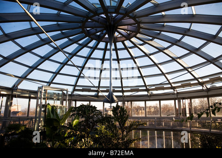 Die Wintergärten von Sunderland Museum. Tropische Pflanzen stehen in einer klimatisierten Umgebung neben Mowbray Park. Stockfoto