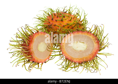 frische Rambutan isoliert auf weißem Hintergrund Nephelium lappaceum Stockfoto