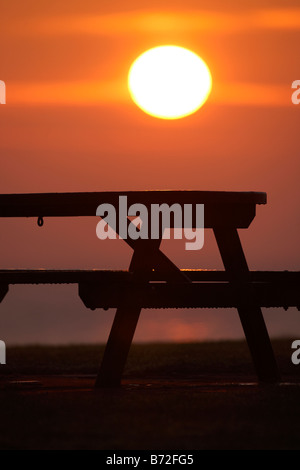 warme Winter Sonnenaufgang über Picknick-Tisch der Grafschaft unten Küste Nordirland Vereinigtes Königreich Stockfoto