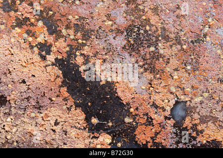 Abstrakte Hintergrundtextur von rostigem Metall in den Farben orange und braune Farben Stockfoto