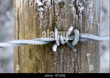 Raureif auf Zäunen Post und Draht Cumbria, England Stockfoto