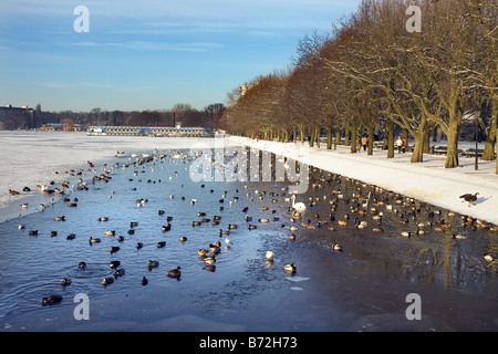 Tegeler See, Alt-Tegel, Reinickendorf, Berlin, Deutschland Stockfoto